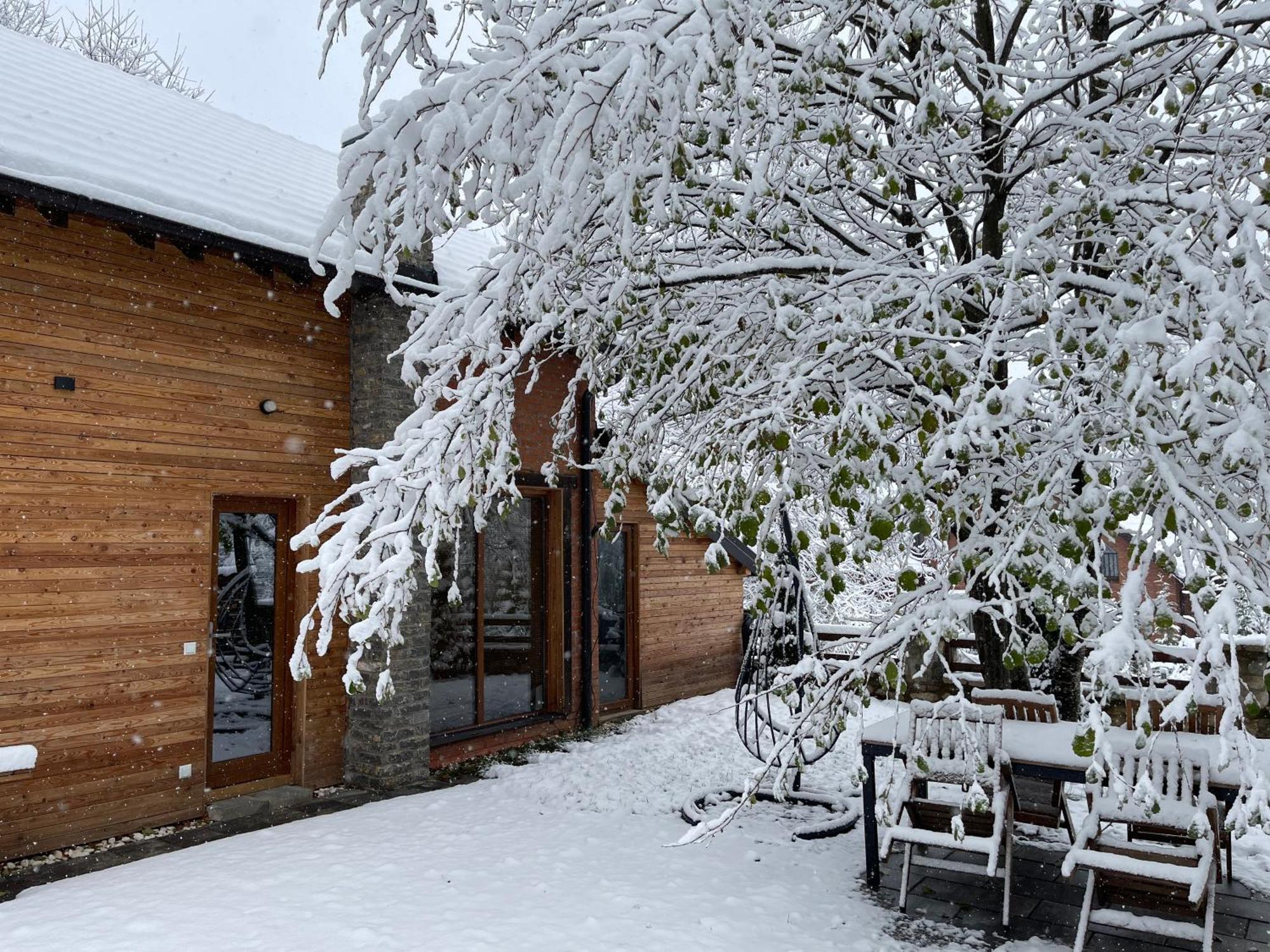 Villa Alpina Brezovice Exterior photo